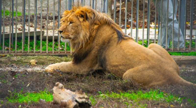Фото пресс-службы администрации Симферополя.