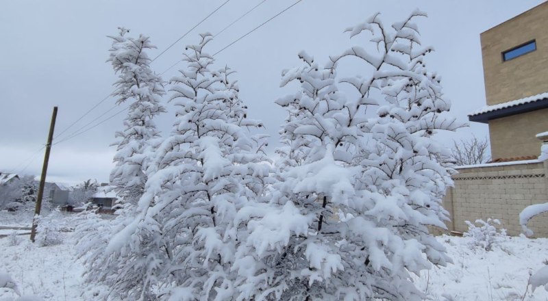 Зима - время для неспешных работ и планов. Фото автора. 