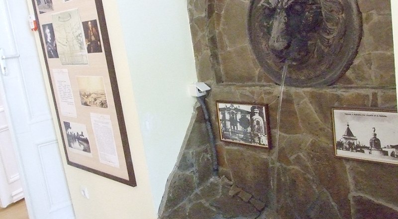 Теперь Львиный «фонтан» в музее.