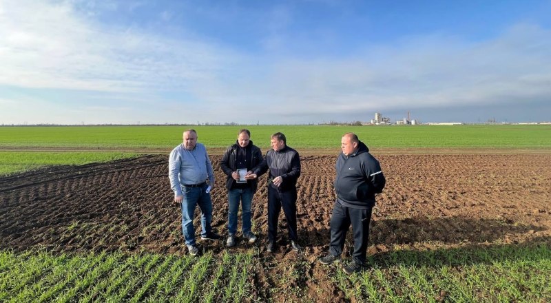 Председатель Совмина РК Юрий Гоцанюк оценил урожайный потенциал озимых зерновых культур на экспериментально-демонстрационных полигонах полуострова.