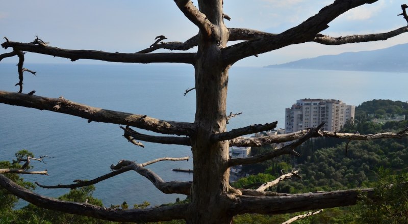 Теперь мыс будет надёжно защищён.