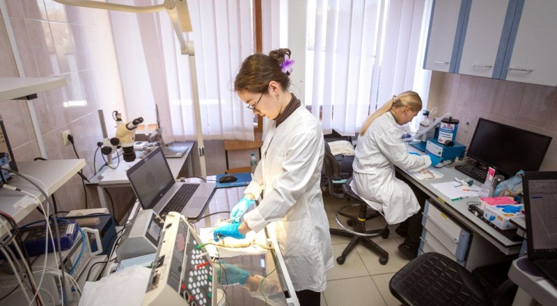 Фото пресс-службы главы РК.