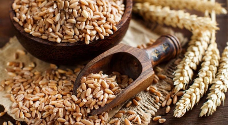Полба - особый вид пшеницы: её зерно покрыто несколькими слоями плёнки.