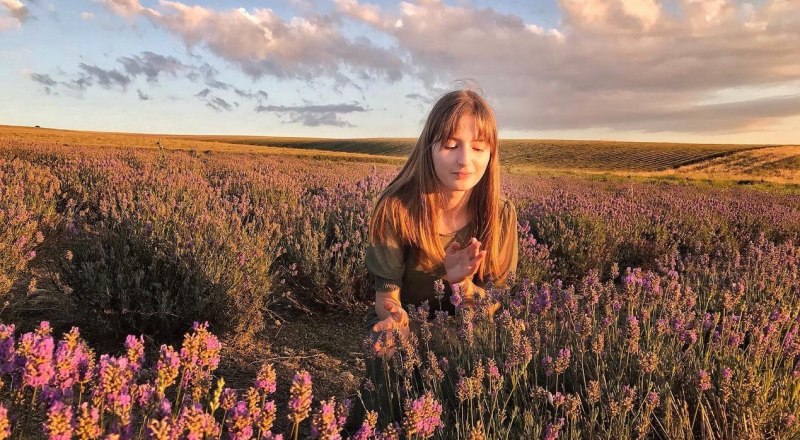 Лавандовые поля из года в год привлекают любителей красивых фотографий.