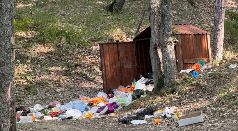 Вот такая грязь теперь посреди леса, у озера.