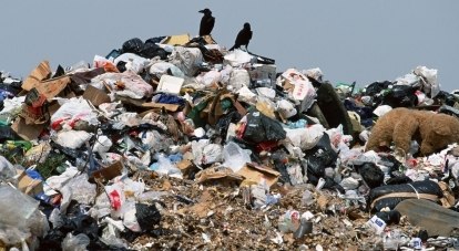 Птицы не переваривают пластик и умирают в мучениях.