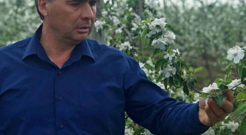 По мнению министра, в этом году крымские аграрии соберут небывалый урожай фруктов.