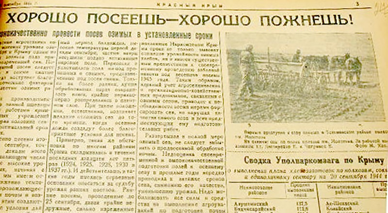 Крымчане точно знают.