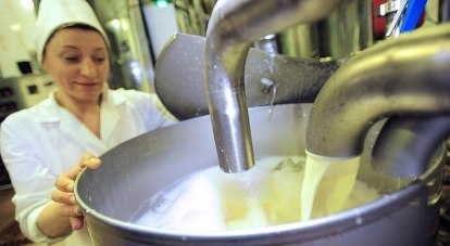 По словам директора ВНИИЗЖ, чаще всего факты фальсификации встречаются при производстве молочной продукции.