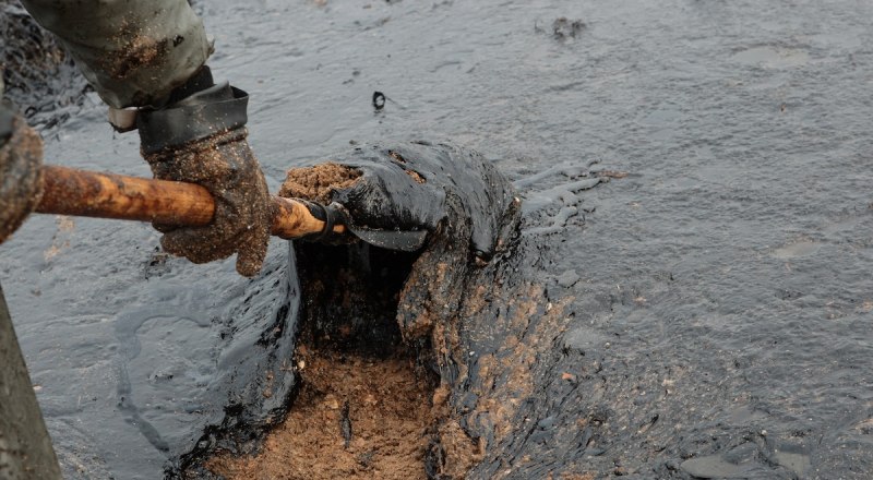 Чёрное море нуждается в постоянной защите. Но мы делаем наоборот… Фото Александра Кадникова.