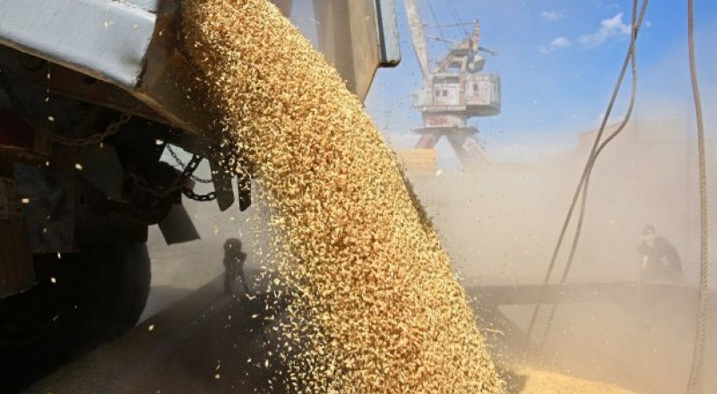 С 1 июля три крупных иностранных зернотрейдера - Cargill, Viterra, Louis Dreyfus Company (LDC) - должны прекратить свою экспортную деятельность. Фото Дмитрия ДАДОНКИНА/ТАСС.