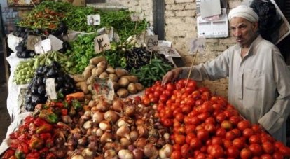 Россельхознадзор отменил введённые ранее ограничения на поставку египетских овощей и фруктов.