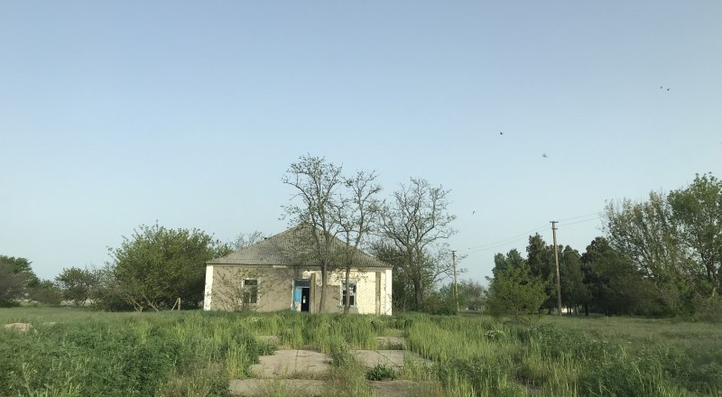 Заброшенный дом в Прозрачном. Здесь даже дорогу скоро будет не видно.