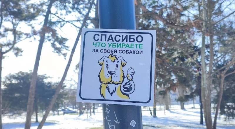 Важно не только приручить, но и убирать.