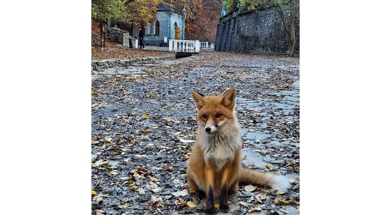 Фото Ивана Коваленко.