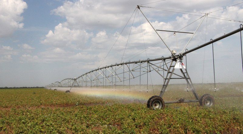 Сельскохозяйственная отрасль в Крыму получает достаточно средств поддержки от государства.
