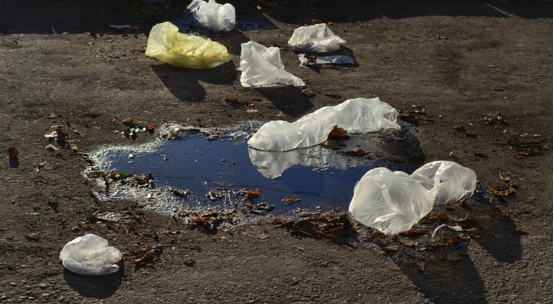 Пластиковые пакеты - это удобно, но слишком пагубно для окружающей среды. Фото Александра Кадникова.