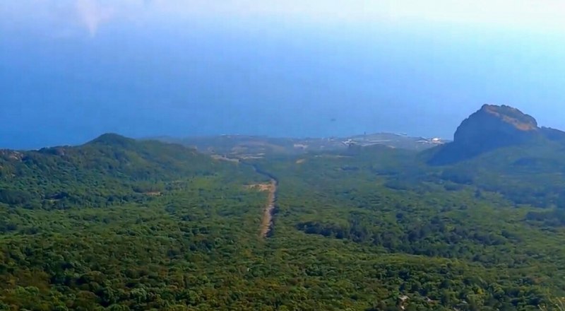 Такая полоса теперь появилась посреди заповедного крымского леса. Фото с видео Евгения МУКОМЕЛА.