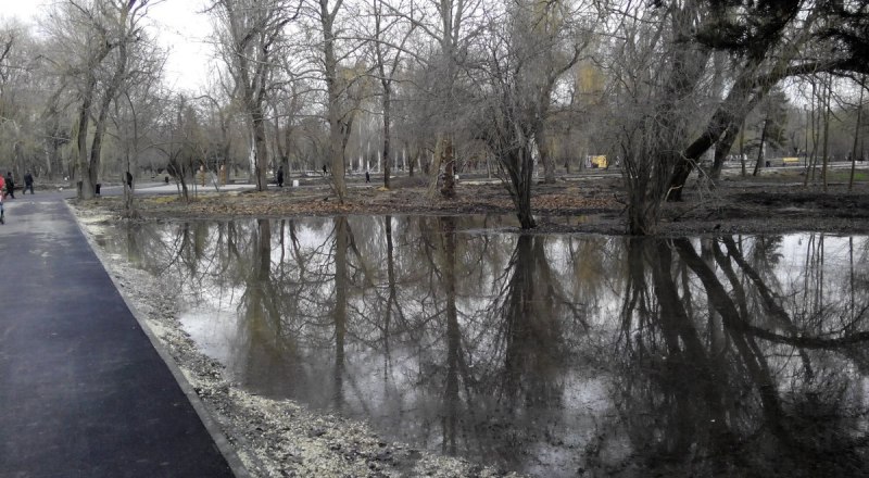 Причиной заболачивания Гагаринского парка может быть плотина, самовольно возведённая на близлежащих прудах.