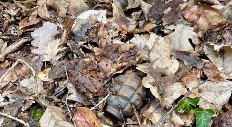 Такие находки могут встречаться в тех местах, где во время войны скрывались партизаны. 