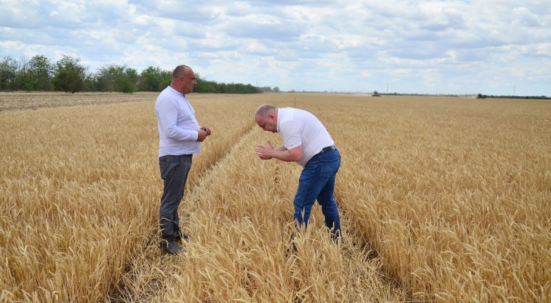 Урожай в этом году обеспечил нас необходимым запасом, но проблемы есть. Их нужно решать и думать о будущем.