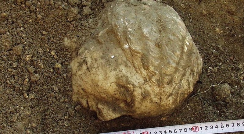 Мраморная голова в момент обнаружения. Фото с сайта nature.com