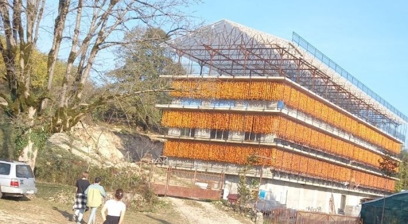 Так вялится хурма. 