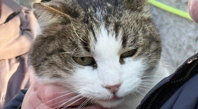 Муся. Фото с t.me/yanina_pavlenko