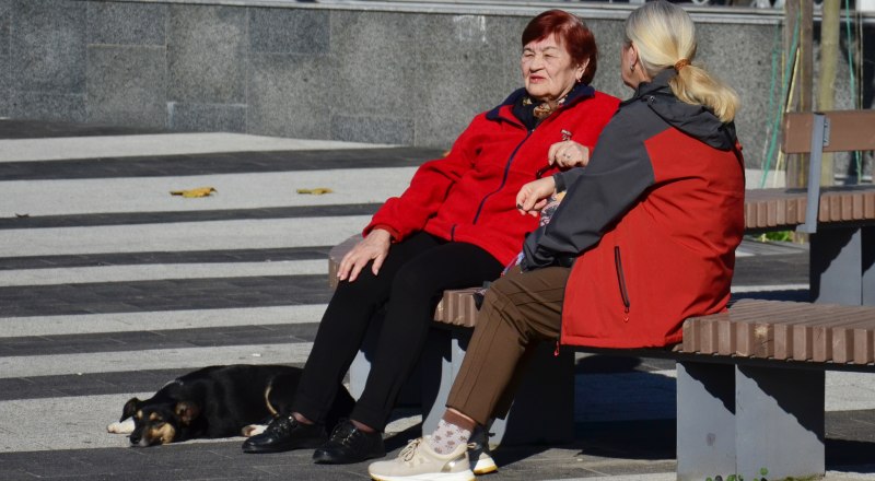 Сотрудники Социального фонда не запрашивают данные по телефону.