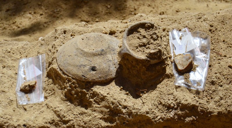В этом году Опушкинская экспедиция подарила исследователям немало удивительных артефактов.