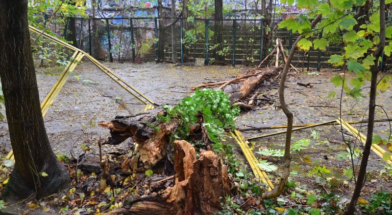Последствия стихии будут ощущаться ещё долго. Может быть, и сами крымчане могут помочь убрать мусор, распилить деревья? Фото Анны КАДНИКОВОЙ.