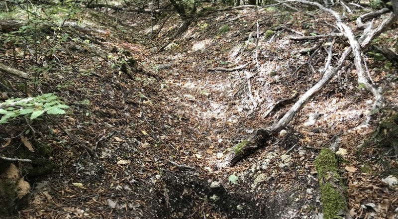 Такие ямы в лесах Крыма встречаются часто. Чёрные копатели даже не собираются забрасывать их землёй.