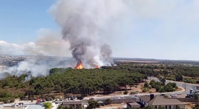 Так горел ресторан в Севастополе, построенный на месте сгоревшего леса.