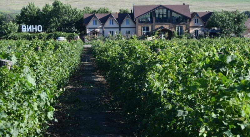 Для небольших виноделен строительство шато - жизненная необходимость. Фото Михаила ВОСКРЕСЕНСКОГО/РИА Новости.