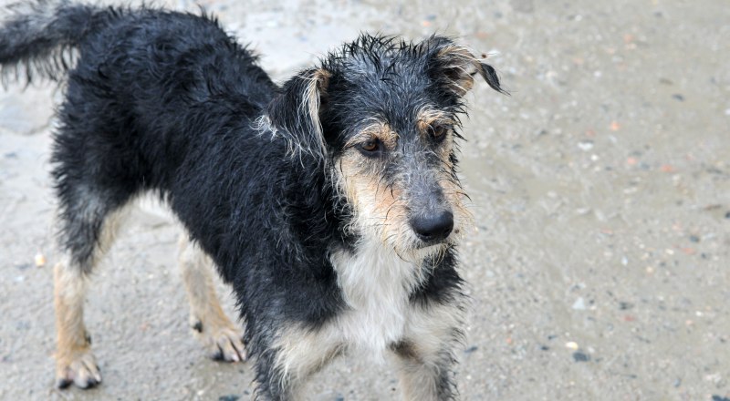 В Крыму продолжает действовать программа ОСВВ.