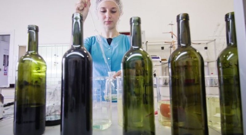 Если на государственном уровне стандартизировать бутылку, то будет выгодно её повторное использование. Фото РИА Новости. 