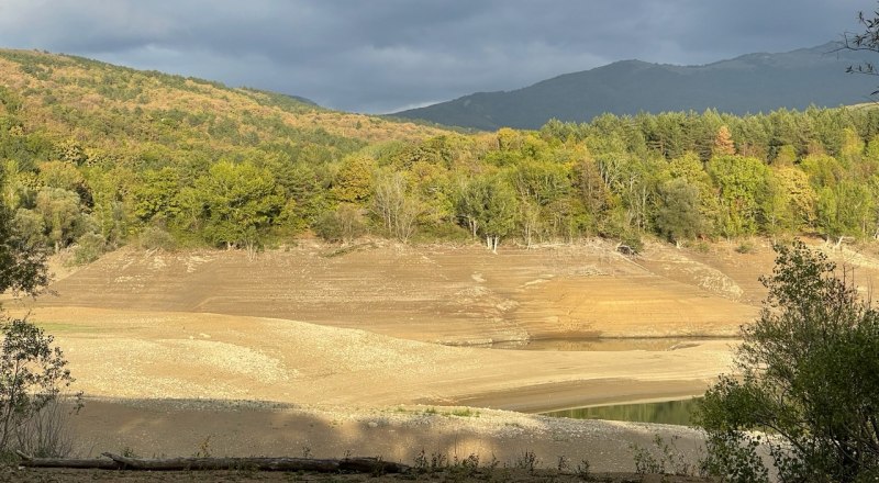 Так выглядит берег Счастливенского водохранилища. Вода должна была быть на уровне деревьев.