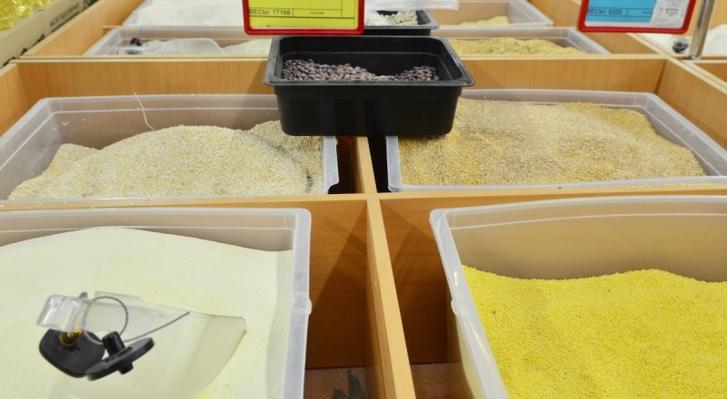 Можно спать спокойно - урожай порадовал.