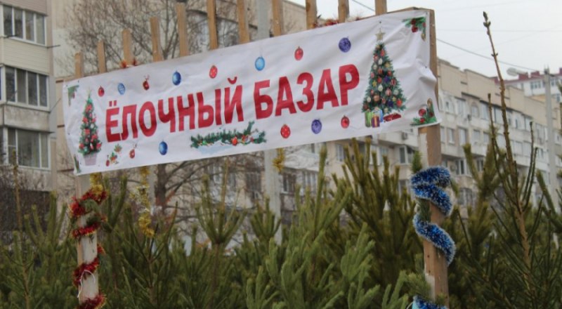 Фото пресс-службы правительства Севастополя. 