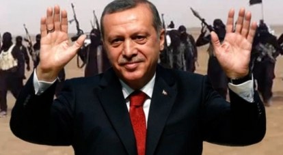 Политику турецкого лидера перестали поддерживать даже западные партнёры.