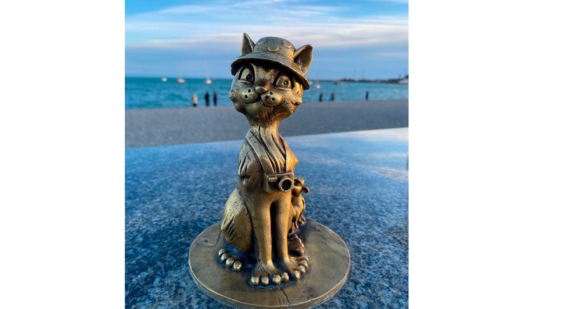 Кошечка-фотограф. Фото Виктории Струниной.