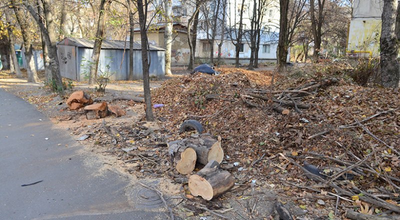 На улице Спера в Симферополе оперативно убрали упавшее дерево. 