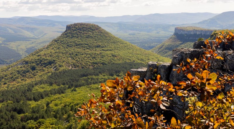 Фото пресс-службы главы РК.