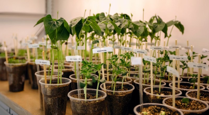 Фото пресс-службы главы РК.