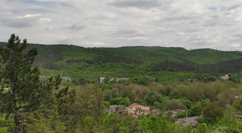 Вид на часть леса со стороны Лозового. Справа заметен замок Кесслера. Фото автора.