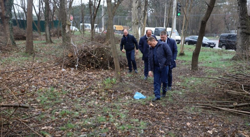 Премьер-министру РК Юрию Гоцанюку пришлось лично показать городским коммунальщикам, как наводить порядок в лесу. 