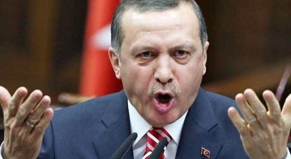Президент Турции Эрдоган призвал всех отказаться от использования валюты и перейти на расчёт национальными денежными знаками.