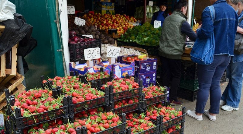 В этом году в Крыму будет избыток ягод, фруктов и овощей. Но не все этому рады. Фото Анны Кадниковой.