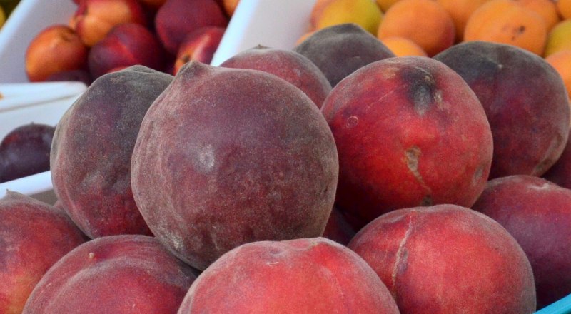 Многие едут в Крым, чтобы отведать местных фруктов, вкусовые качества которых гораздо выше, чем у импортных.