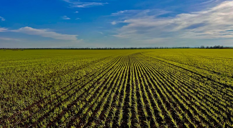 Фото пресс-службы главы РК.